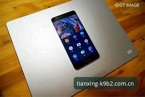 天行体育K9B2登录手机版 官网直登 vs 手机App:天行体育K9B2登录手机版哪个更适合你?